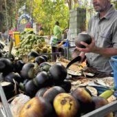 Street vendor cutting palmyra palm fruit to extract fresh panam nonk ice apple for customers
