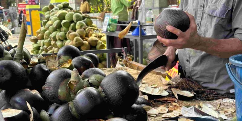Street vendor cutting palmyra palm fruit to extract fresh panam nonk ice apple for customers